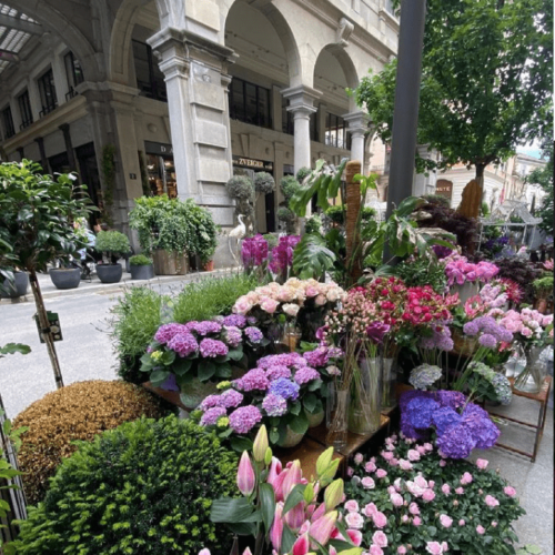 dahra-esterno-via-posta-lugano