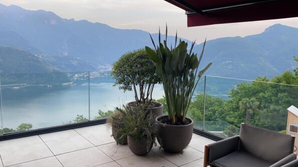 dahra-esterni-piante-arredi-terrazza-lugano
