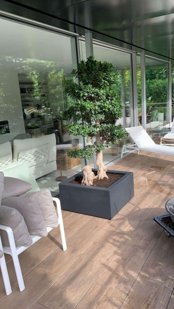dahra-lugano-terrazza-esterno-piante-arredo
