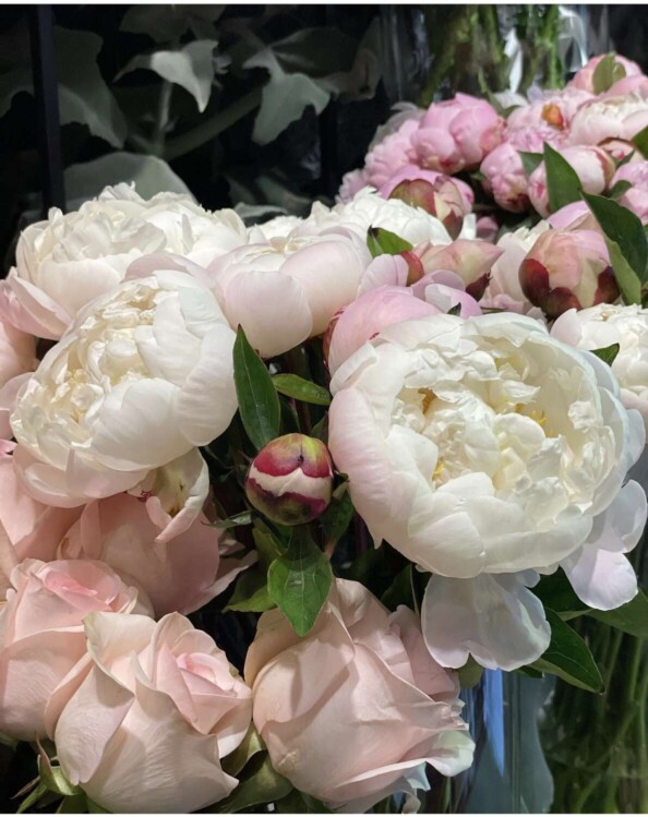 dahra-lugano-fiorista-peonie